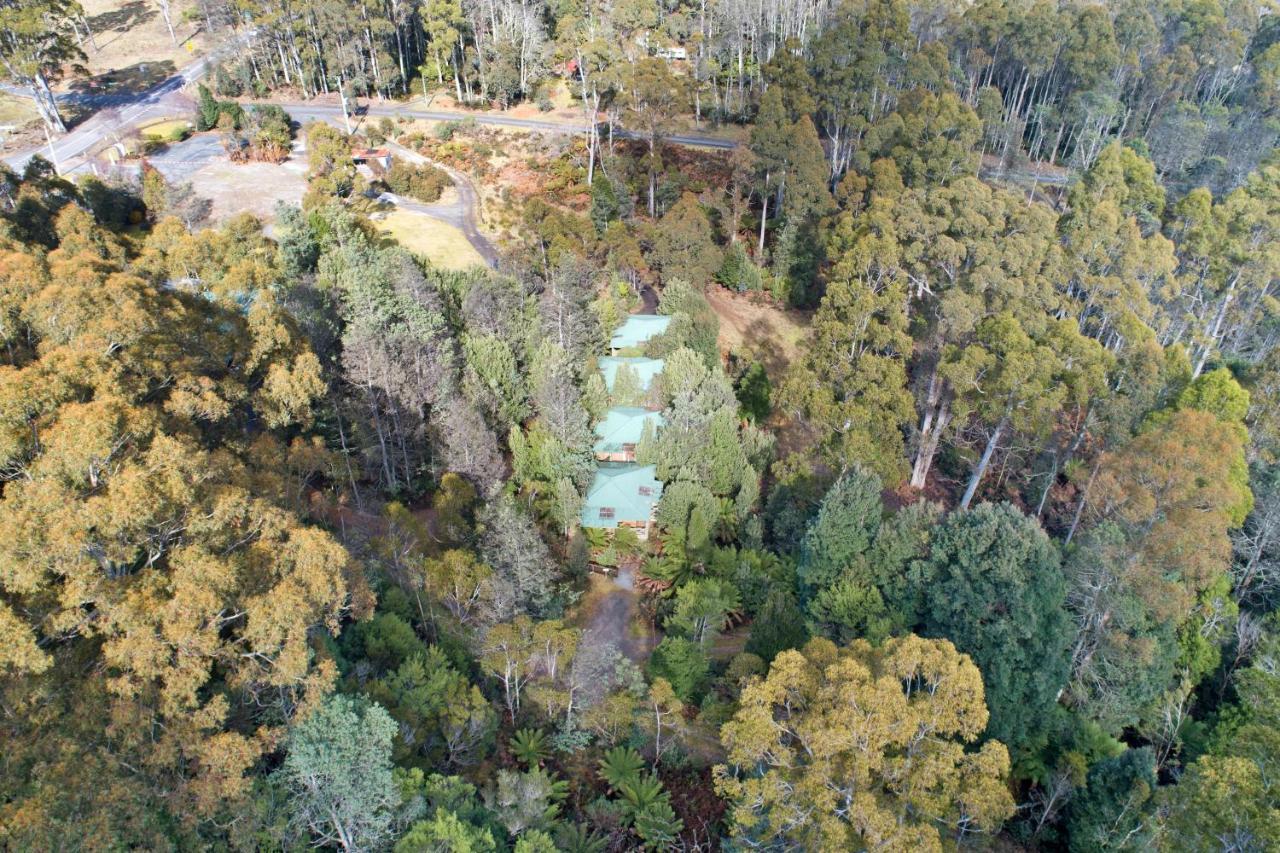 Cradle Forest Inn Moina Dış mekan fotoğraf