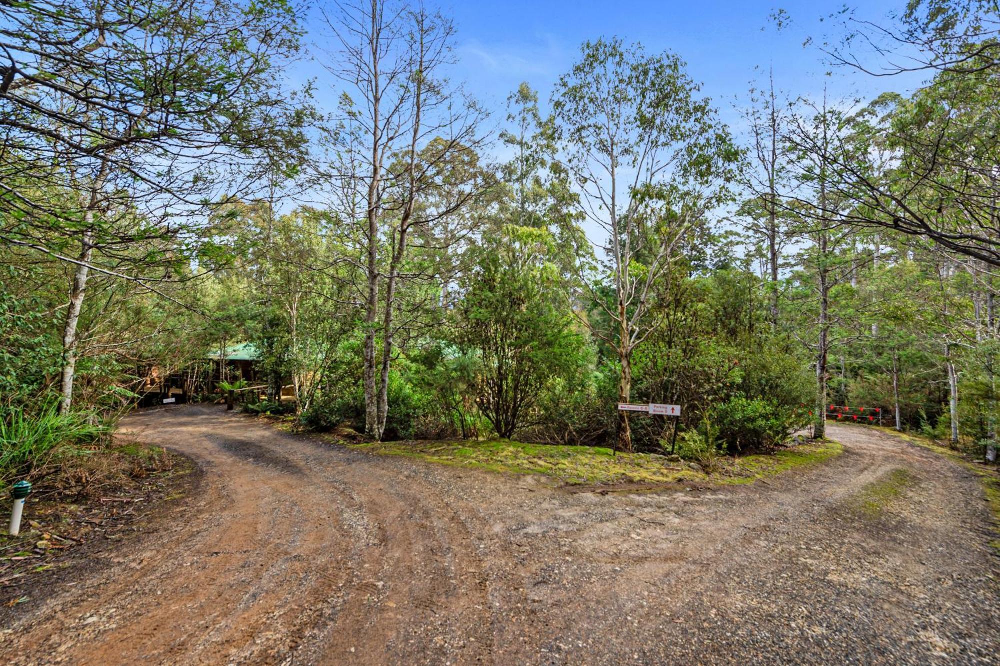 Cradle Forest Inn Moina Dış mekan fotoğraf
