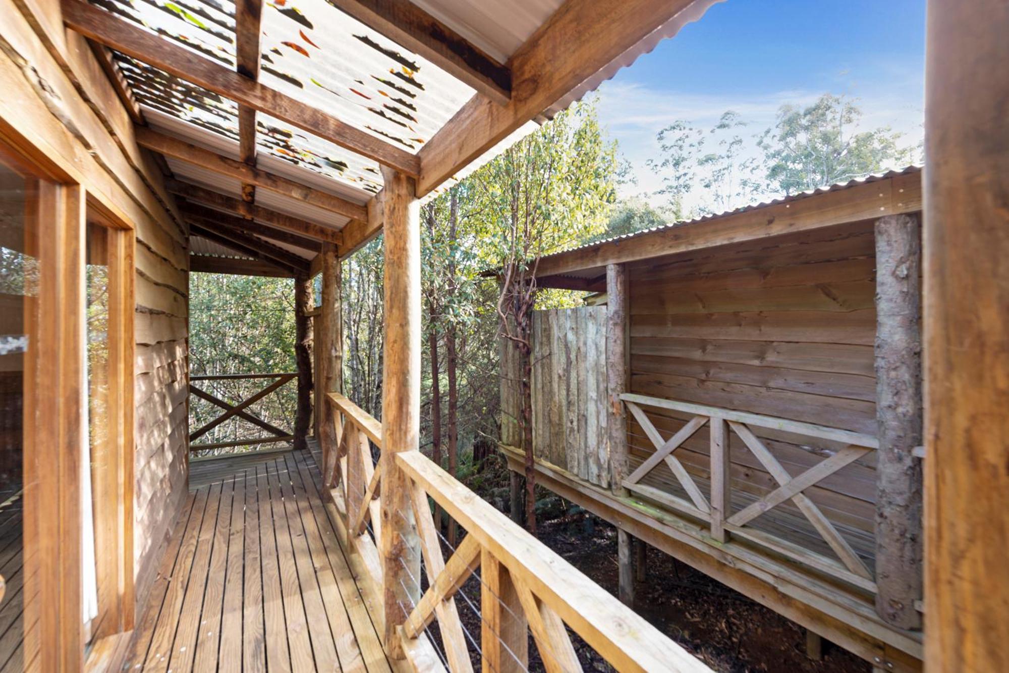 Cradle Forest Inn Moina Dış mekan fotoğraf