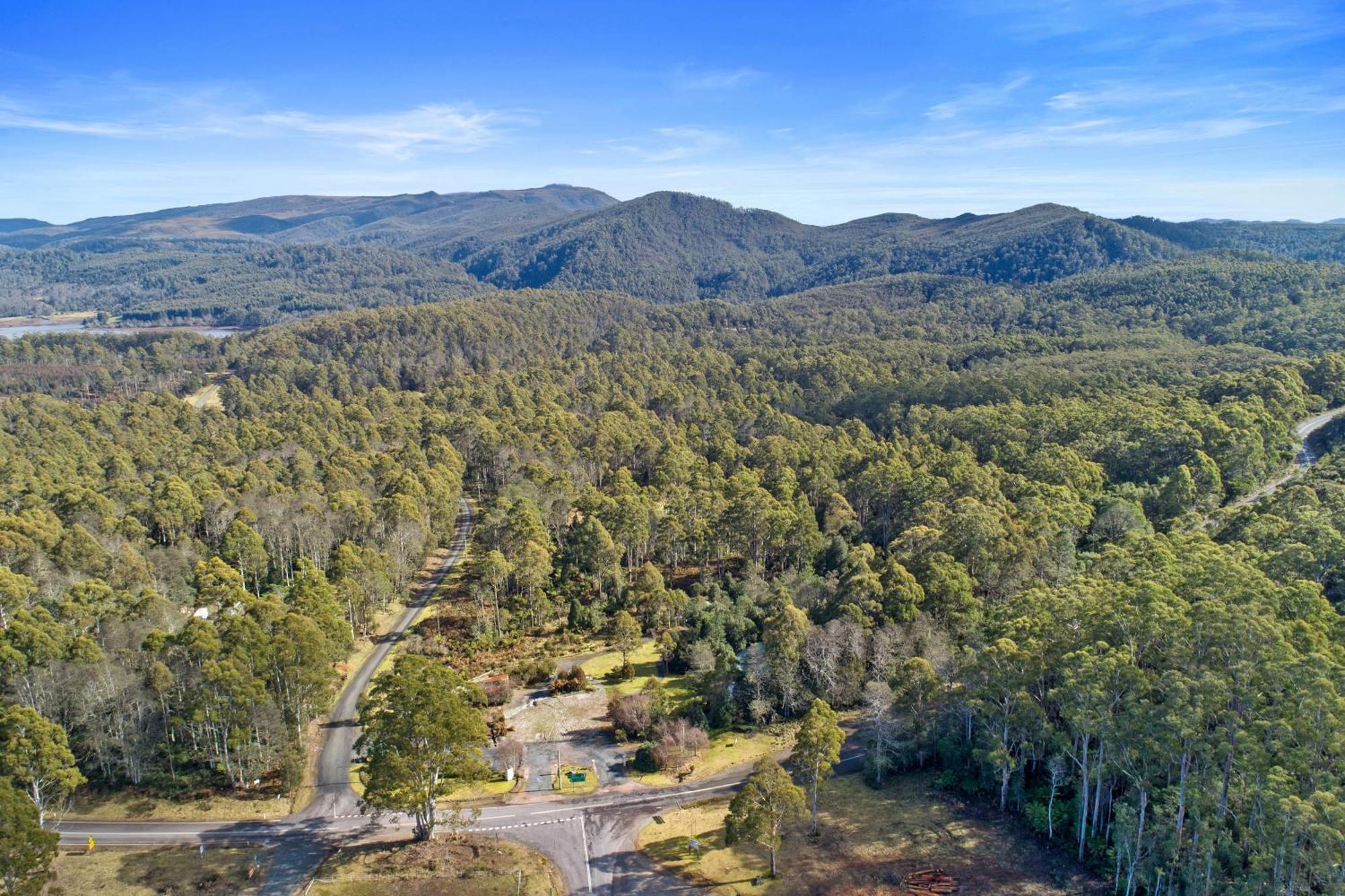 Cradle Forest Inn Moina Dış mekan fotoğraf