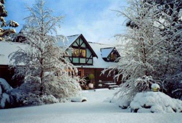 Cradle Forest Inn Moina Dış mekan fotoğraf