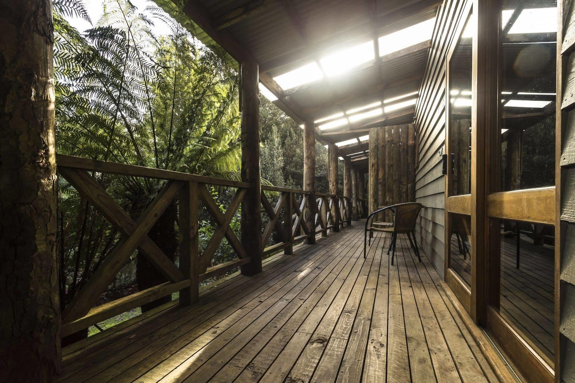 Cradle Forest Inn Moina Dış mekan fotoğraf
