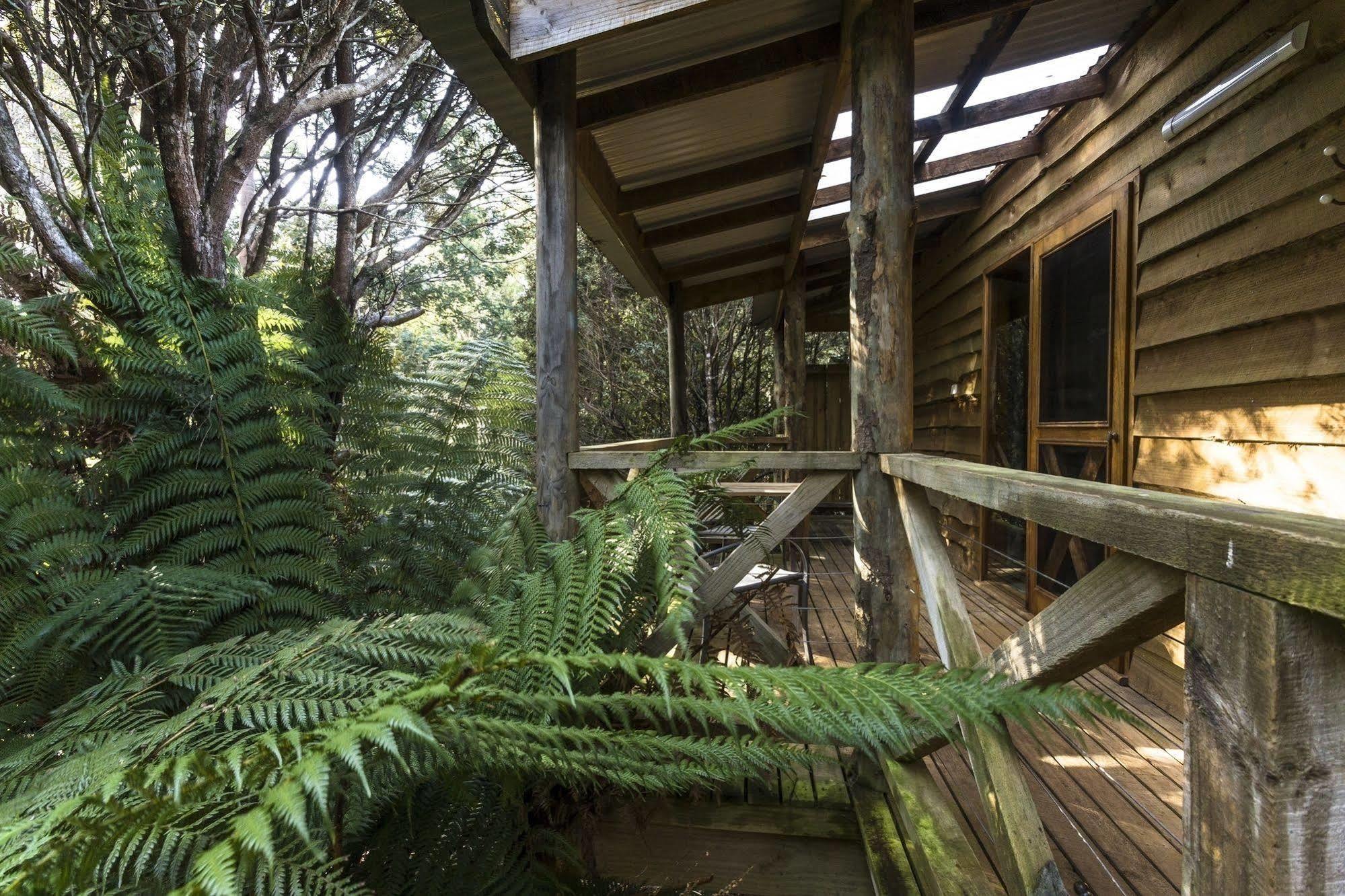 Cradle Forest Inn Moina Dış mekan fotoğraf